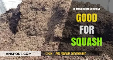 Boost Your Squash Growth: Benefits of Mushroom Compost Explained