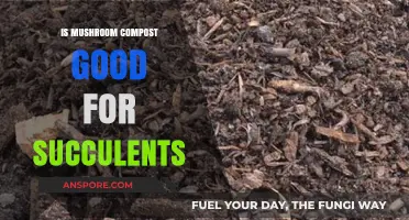 Mushroom Compost for Succulents: Benefits, Tips, and Best Practices
