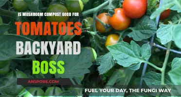 Boost Your Tomato Harvest: Mushroom Compost Benefits for Backyard Bosses
