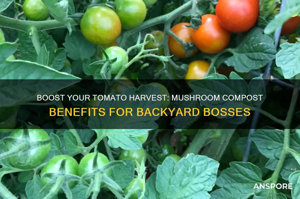 is mushroom compost good for tomatoes backyard boss