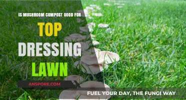 Mushroom Compost for Top Dressing: Benefits and Best Practices for Lawns