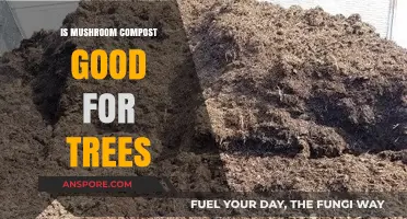 Boosting Tree Health: Benefits of Mushroom Compost for Growth and Soil