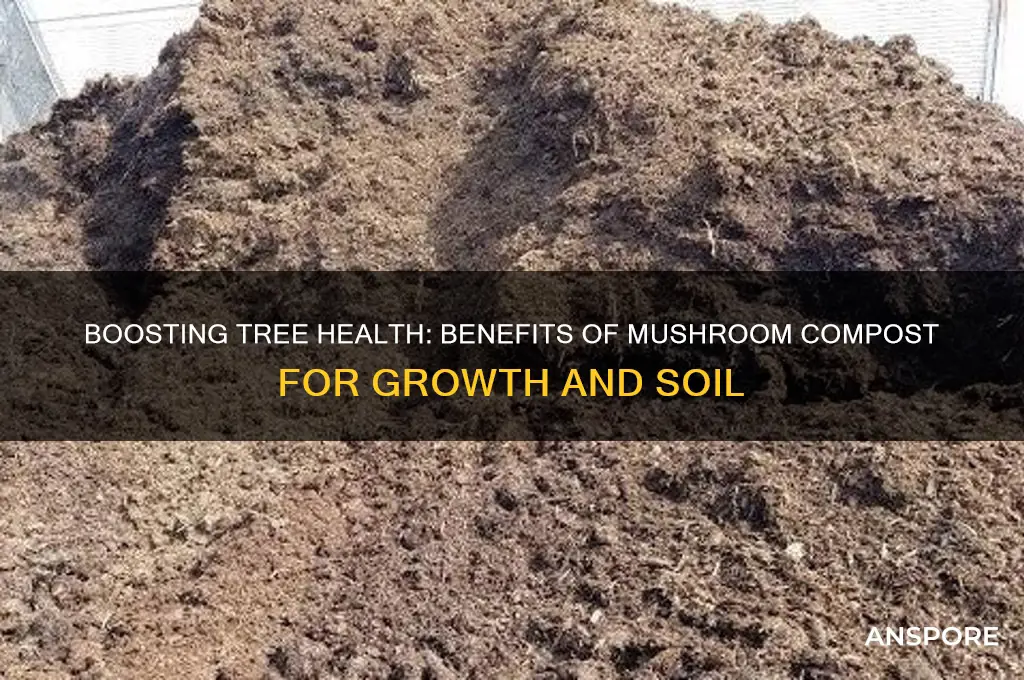 is mushroom compost good for trees