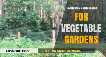Mushroom Compost Benefits: Boosting Vegetable Garden Health and Yield