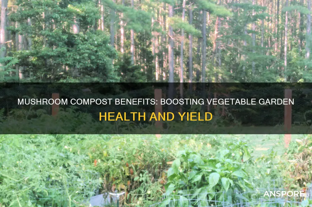 is mushroom compost good for vegetable gardens