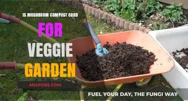 Boost Your Veggie Garden: Benefits of Mushroom Compost Explained