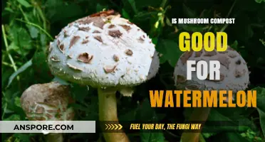 Boost Your Watermelon Growth: Benefits of Mushroom Compost Explained