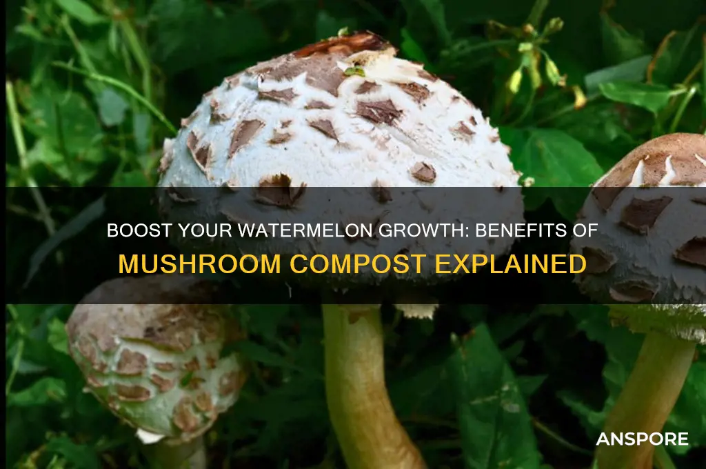 is mushroom compost good for watermelon