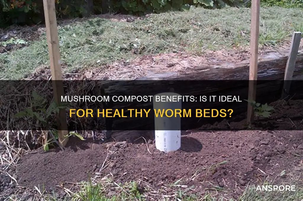 is mushroom compost good for worms