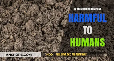 Mushroom Compost Safety: Potential Risks and Benefits for Human Health