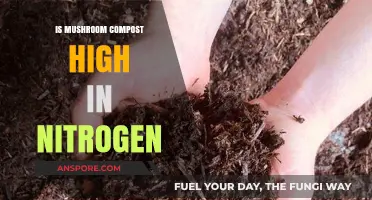 Is Mushroom Compost High in Nitrogen? Unveiling Nutrient Secrets