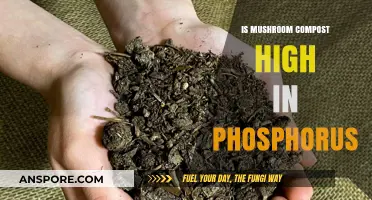 Mushroom Compost Phosphorus Levels: Benefits and Gardening Applications Explained