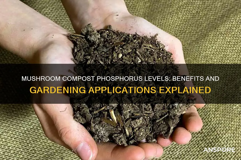 is mushroom compost high in phosphorus
