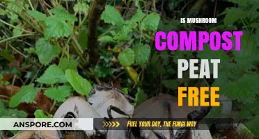 Mushroom Compost: A Peat-Free Alternative?