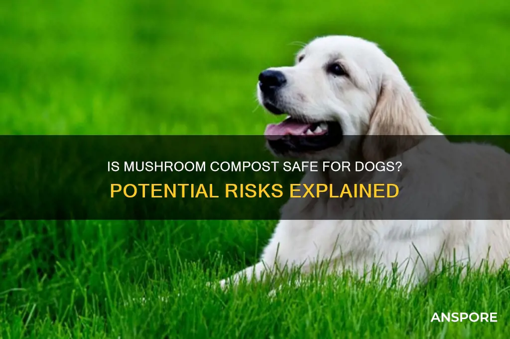 is mushroom compost poisonous to dogs