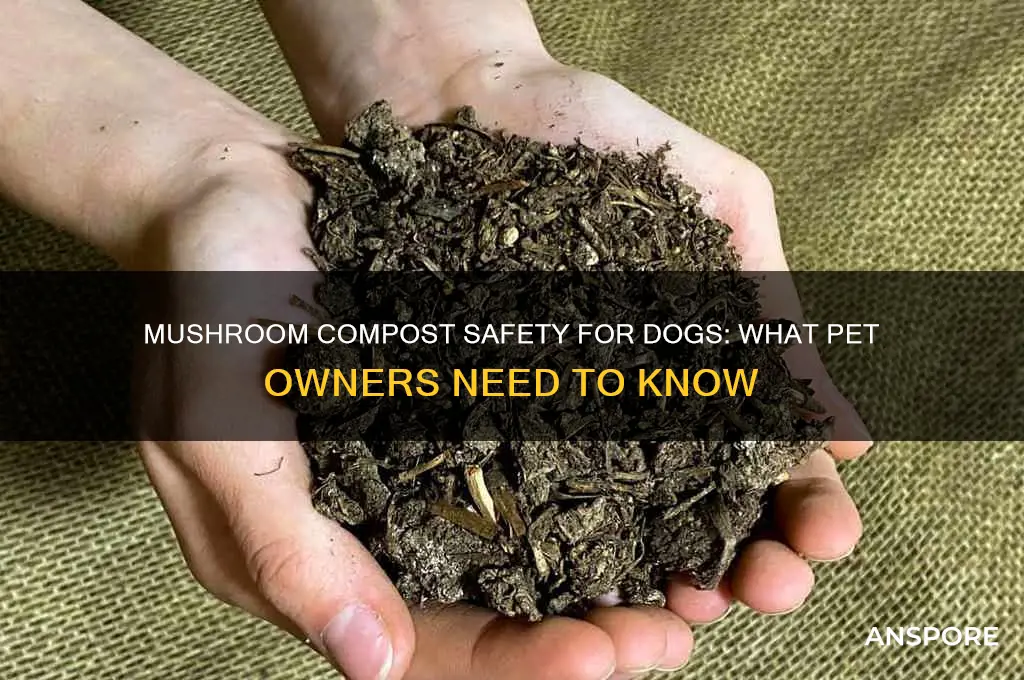 is mushroom compost safe for dogs