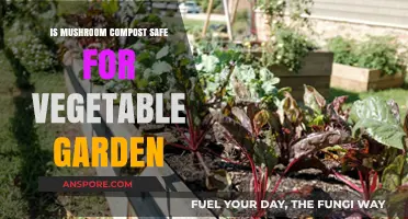 Is Mushroom Compost Safe for Your Vegetable Garden? A Guide