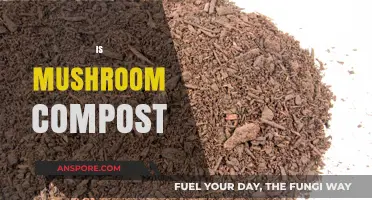 Mushroom Compost: The Ultimate Superfood for Your Garden