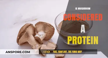 Mushroom Protein Power: A Surprising Source?