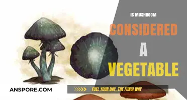 Mushroom Mystery: Veggie or Not?