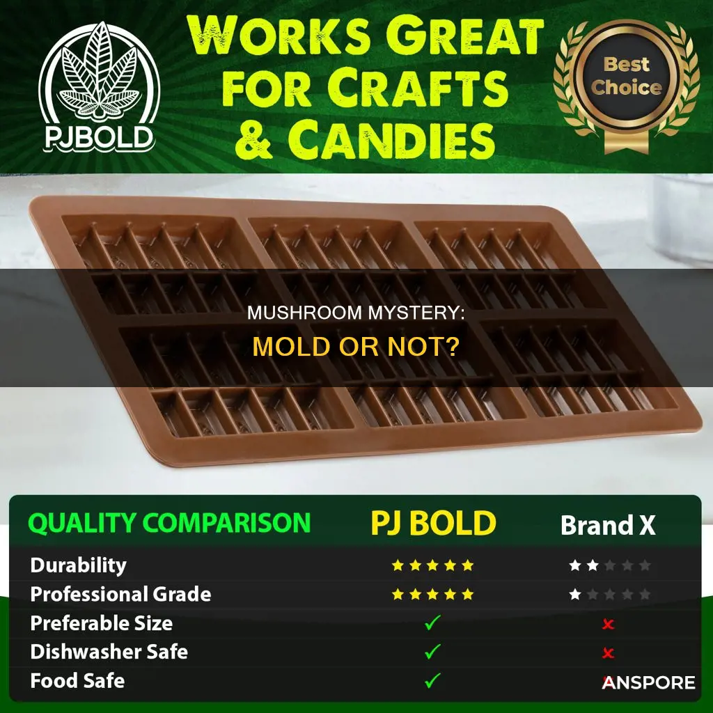 is mushroom considered mold