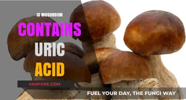 Mushrooms and Uric Acid: What's the Connection?