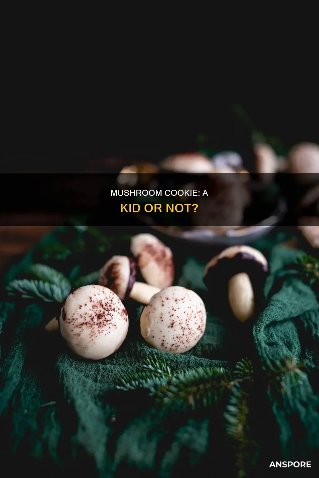 is mushroom cookie a kid