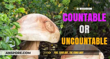 Mushroom Mystery: Count or Not?