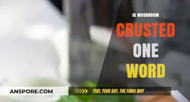 Mushroom-Crusted: One Word or Two?