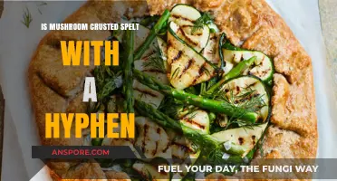 Mushroom-Crusted Spelt: Hyphenated or Not? A Culinary Grammar Guide