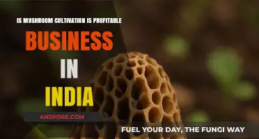 Mushroom Farming Profitability: A Lucrative Business Opportunity in India?