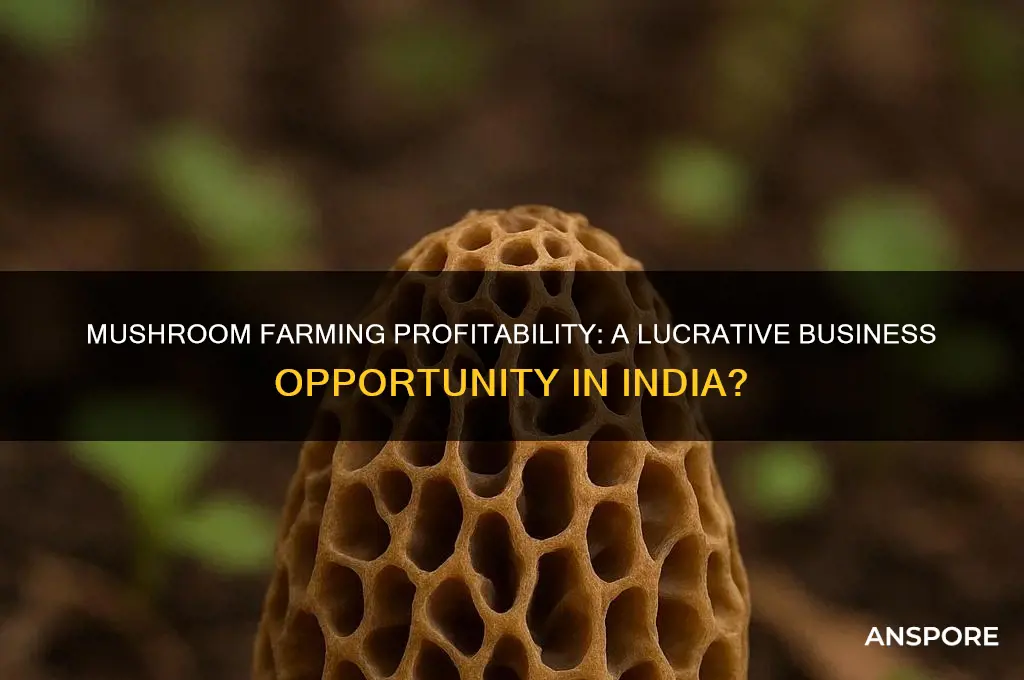is mushroom cultivation is profitable business in india