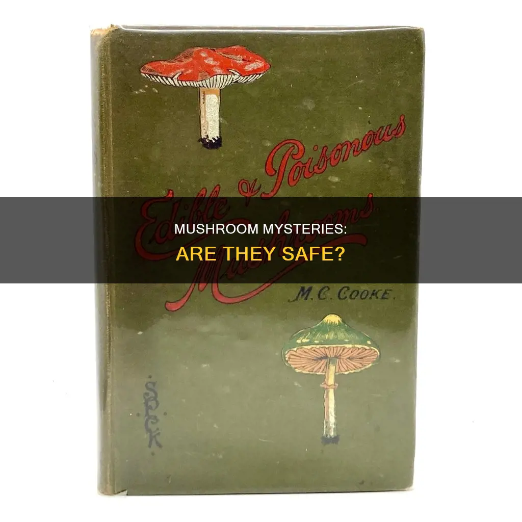 is mushroom dangerous