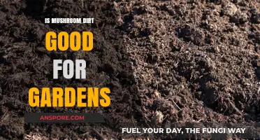 Mushroom Dirt Benefits: Boosting Garden Health and Soil Fertility