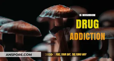 Mushroom Addiction: The Dark Side of Magic