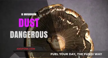 Mushroom Dust: A Health Hazard?