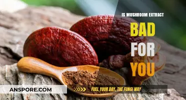 Mushroom Extract: Health Benefits or Hidden Risks? What You Need to Know