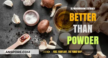 Mushroom Extract vs. Powder: Which Form Offers Superior Benefits?
