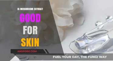 Mushroom Extract Benefits: Unlocking Radiant Skin with Natural Power