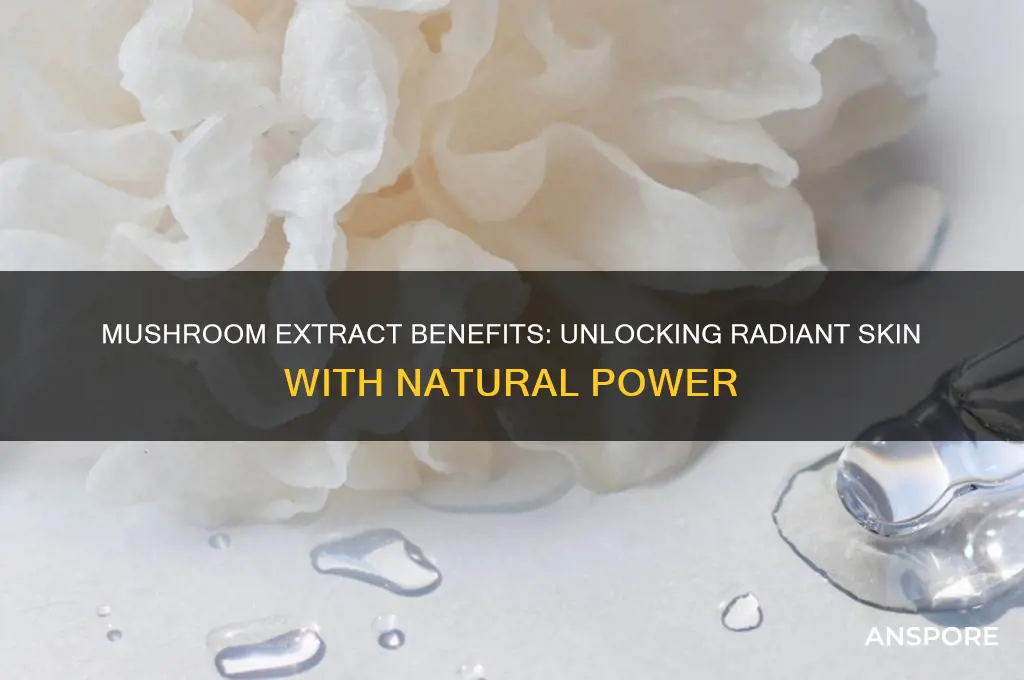 is mushroom extract good for skin