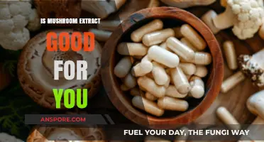 Mushroom Extract Benefits: Unlocking Health Potential and Wellness Insights