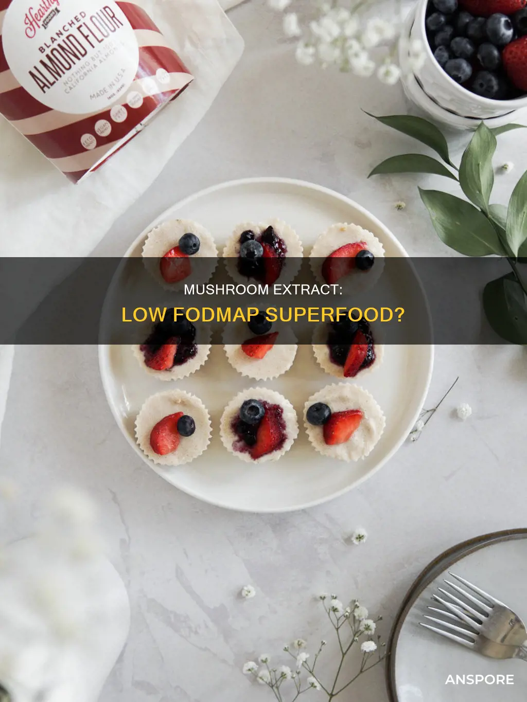 is mushroom extract low fodmap