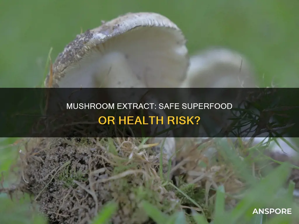 is mushroom extract safe