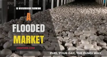 Is Mushroom Farming Oversaturated? Analyzing Market Competition and Opportunities