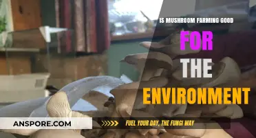 Eco-Friendly Mushroom Farming: Sustainable Benefits for Our Planet Explored