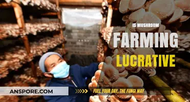 Mushroom Farming: A Lucrative Business Venture?
