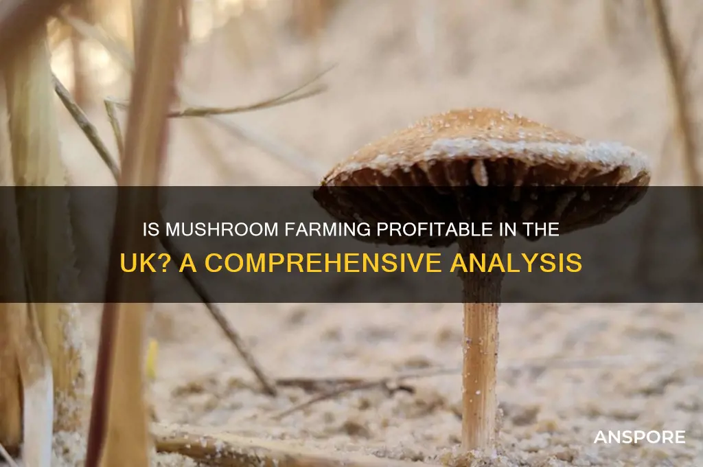 is mushroom farming profitable in uk