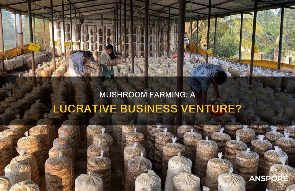 is mushroom farming profitable
