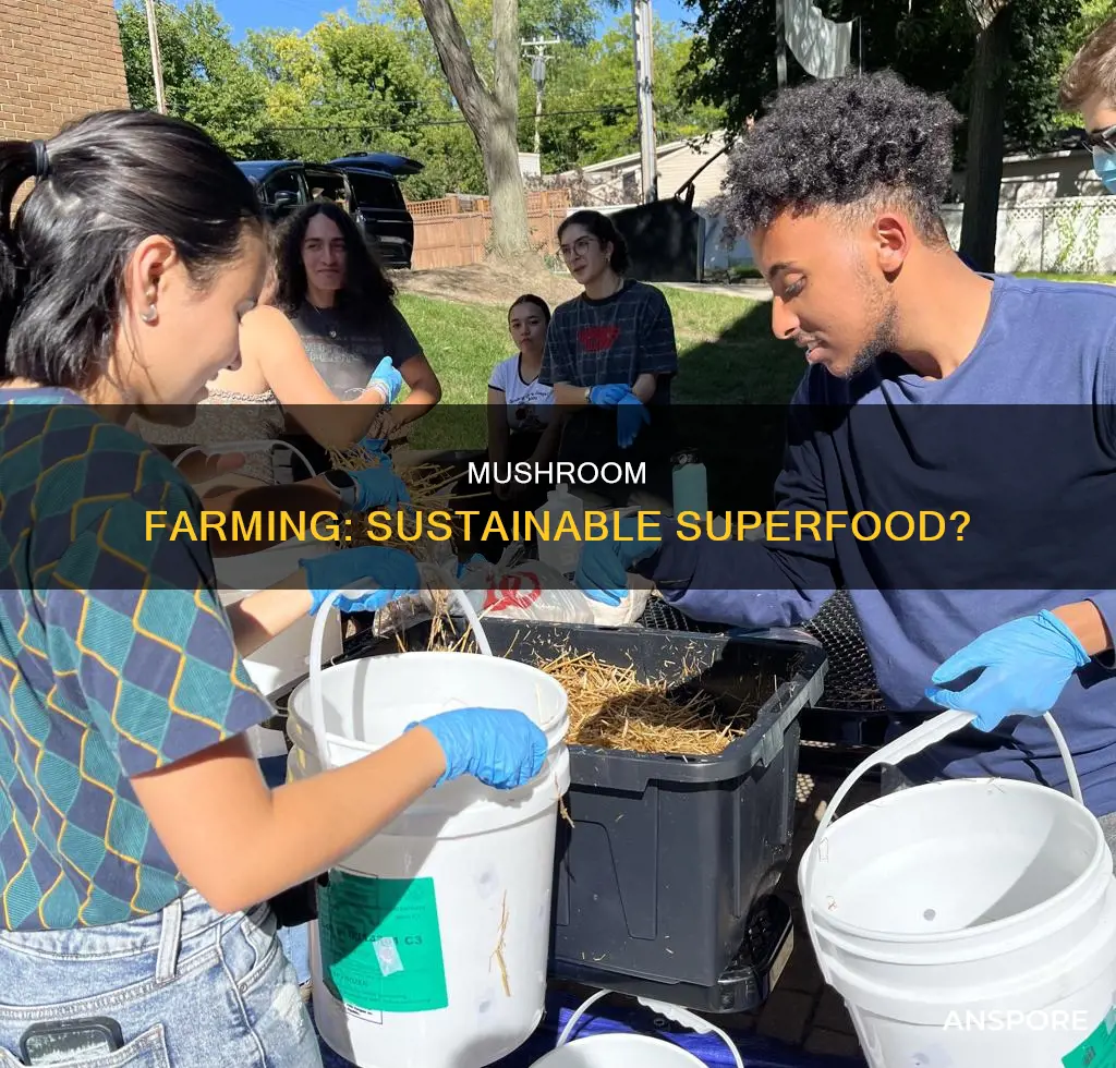 is mushroom farming sustainable