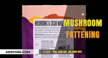 Mushroom Nutrition: Fattening or Healthy?